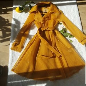 It's back! Beautiful fashion trench